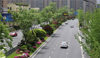 特色蘊于細節，匠心鑄就精品——論綠化工程的卓越之道